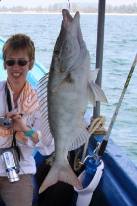 emperor fish - fishing around koh phayam