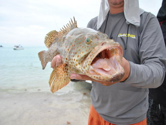 fishing thailand payam