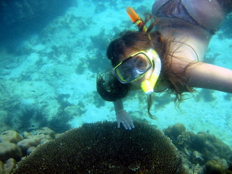 snorkeling phayam