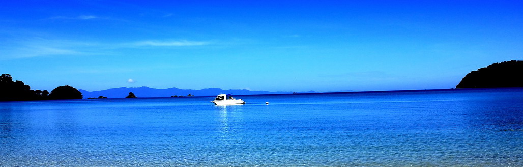 buffalo bay payam island