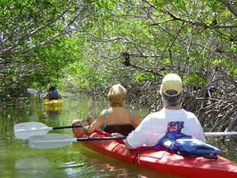kayaking in phayam mangrove
