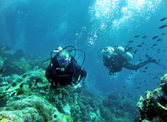 diving phayam island